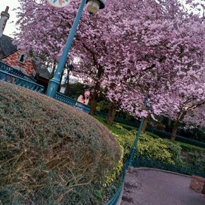 Meet your Posher, Shriya